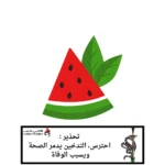 معسل هابلي بابلي نكهة بطيخ & نعناع